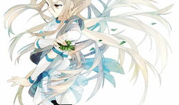 动漫人物的,动漫人物传奇之旅